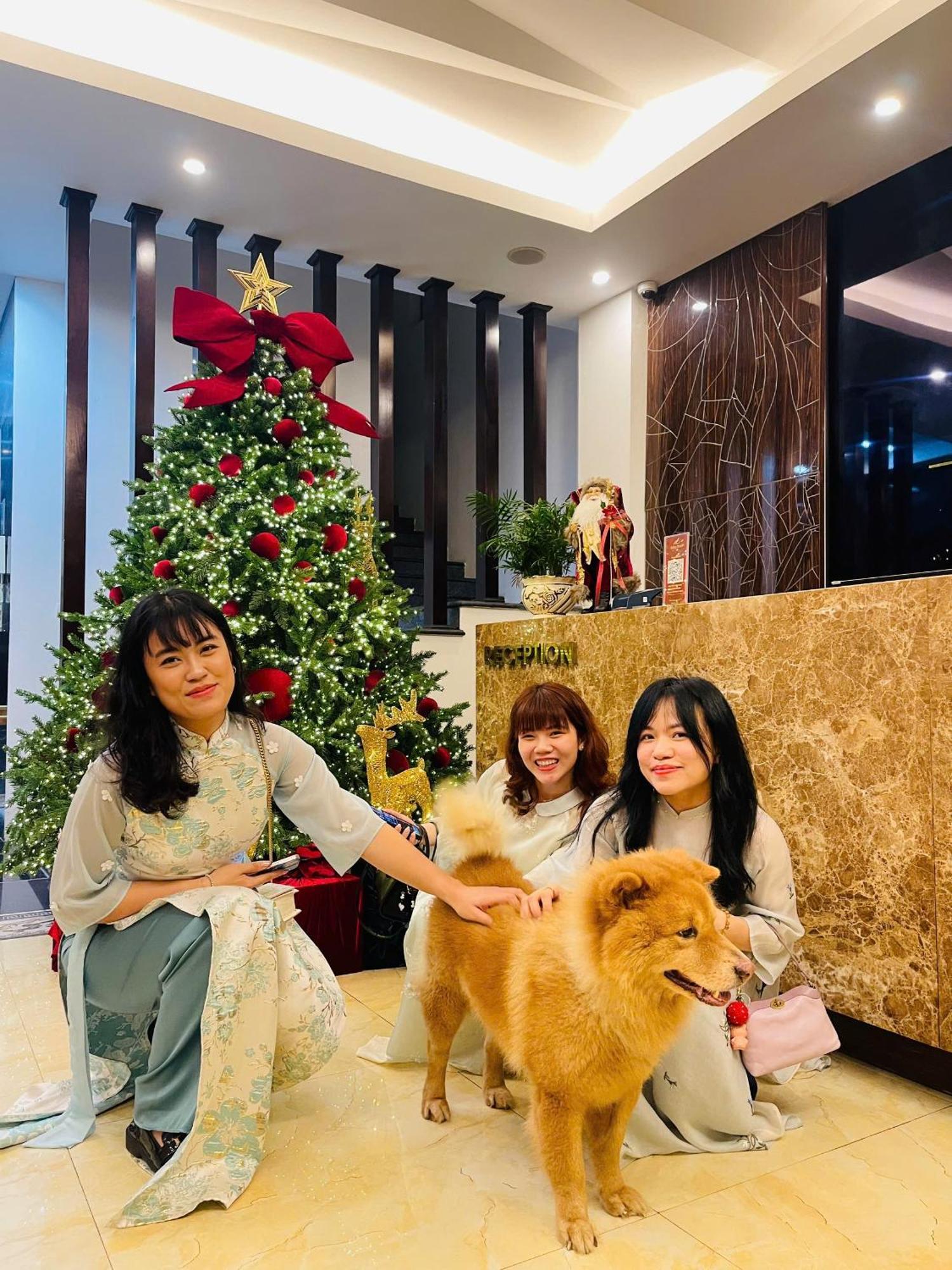 Salina Hotel Ninh Binh Zewnętrze zdjęcie